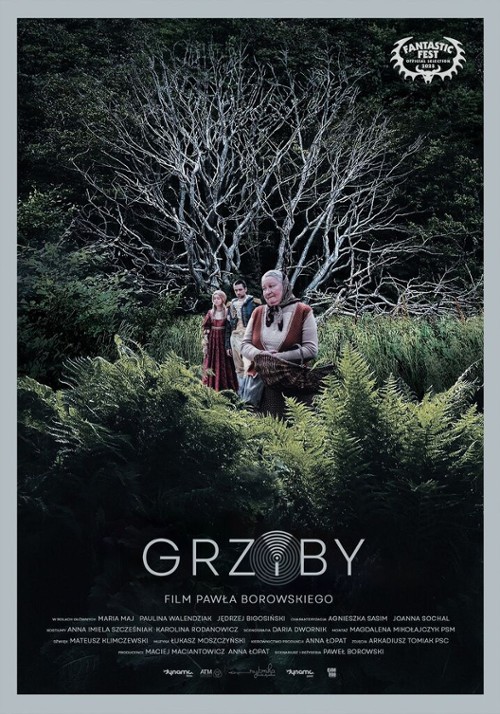 Grzyby Plakat